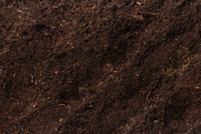 Analyze Your Soil's Ability To Absorb Water!
